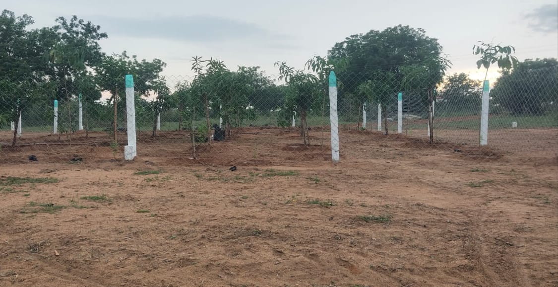 Kolanupaka Form Land